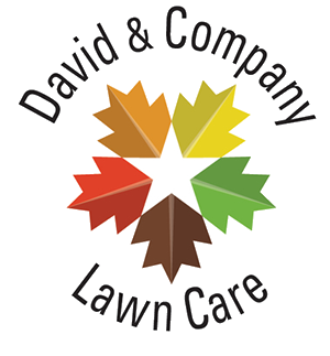 David & Company Lawn Care